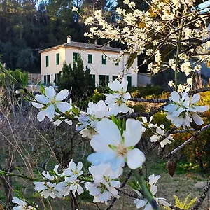 Sa Maniga , Bunyola Spain